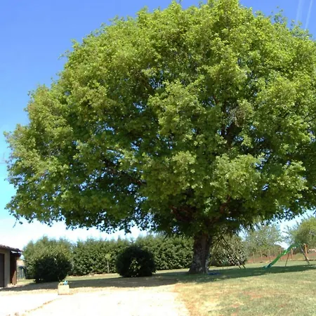 度假居 Proche St Emillion Abzac (Gironde)