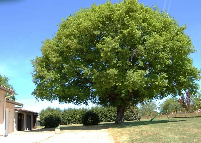 Nyaraló Proche St Emillion Abzac